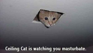 ceiling_cat1